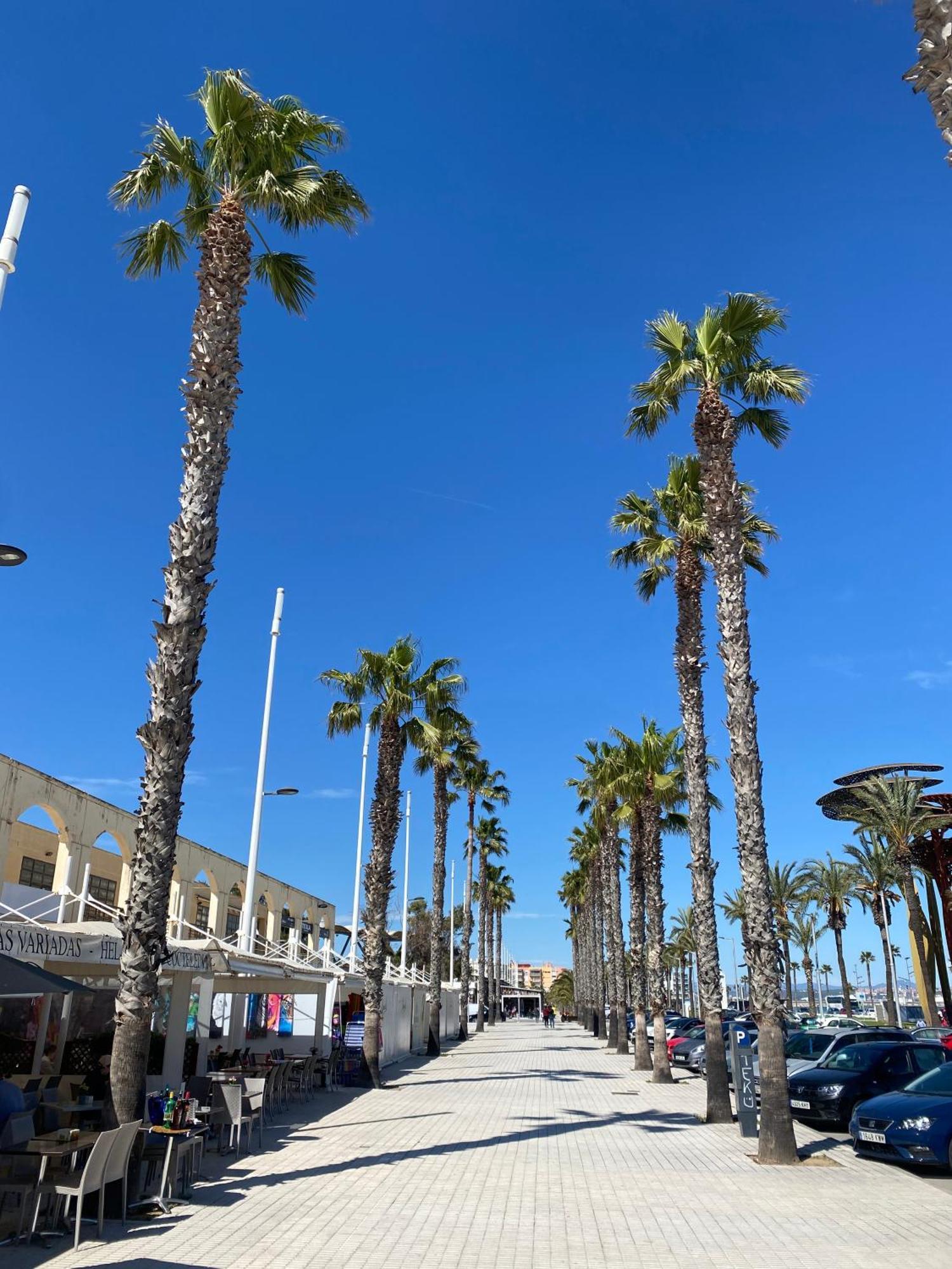 Sun And Beach Lovers 12019 La Pineda Εξωτερικό φωτογραφία